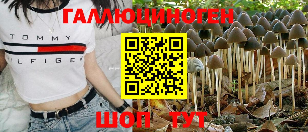 Кингисепп  Галлюциногенные грибы мицелий  Галлюциногенные грибы прущие грибы  Вход с VPN 