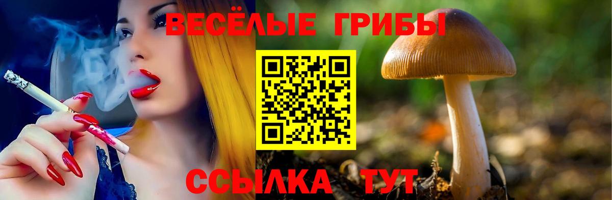 Галлюциногенные грибы прущие грибы Кингисепп